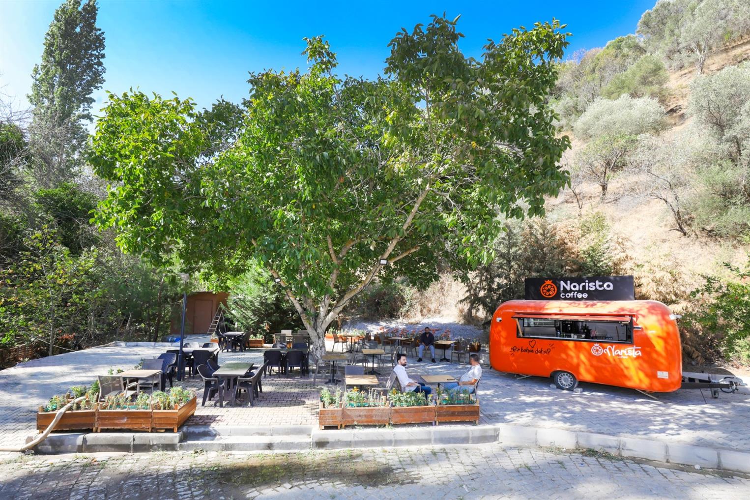 NARİSTA PARK ORMAN