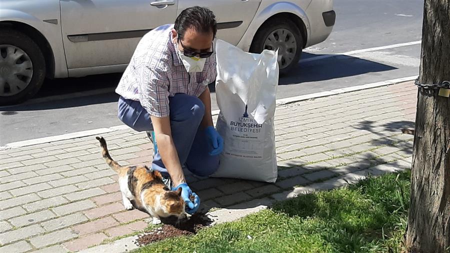 Narlıdere'de can dostlar unutulmadı